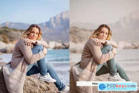 20 Grainy Mist Lightroom Presets and LUTs