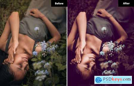 6 Indonesia Brown Lightroom and Photoshop Presets