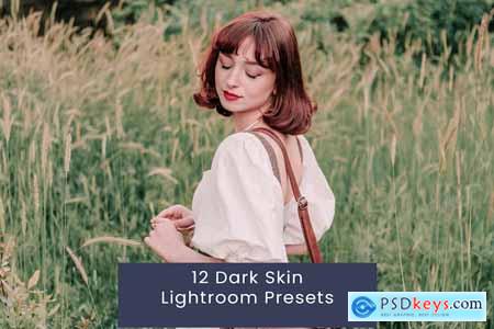 12 Dark Skin Lightroom Presets