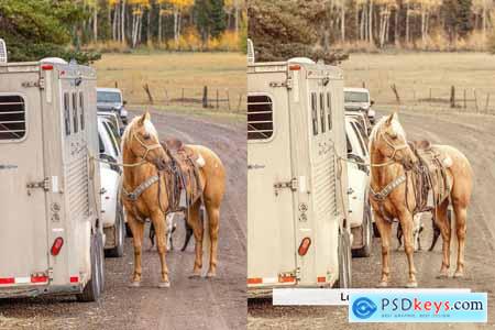 20 Rodeo Lightroom Presets and LUTs