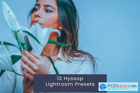 12 Hyssop Lightroom Presets