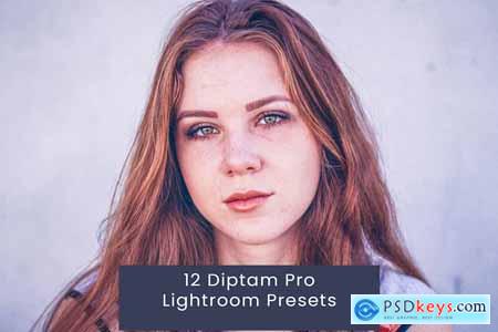 12 Diptam Pro Lightroom Presets