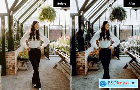 6 Flood Color Lightroom and Photoshop Presets