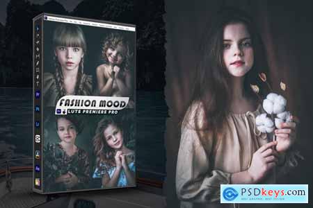 Fashion Mood Presets - luts Video Premiere Pro