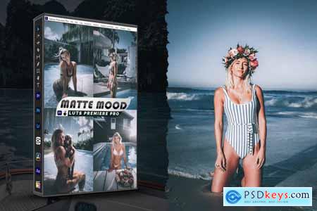 Matte Mood Presets - luts Video Premiere Pro