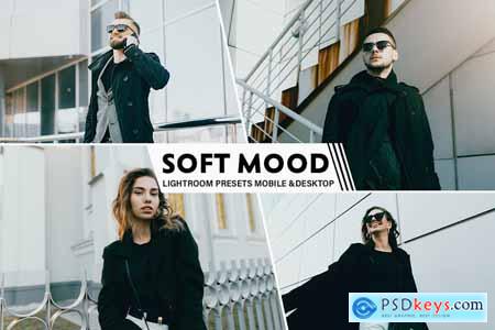 Soft Mood Lightroom Presets Mobile And Desktop