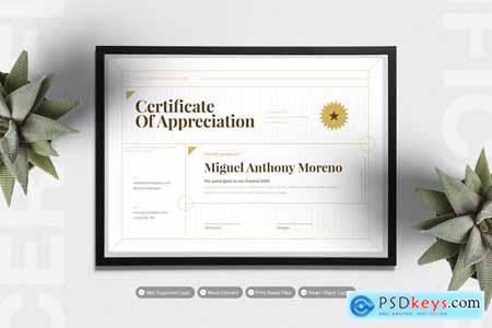 Deco Line - Certificate