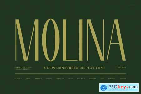 Molina Modern Sans Serif Font