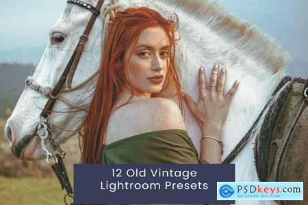 12 Old Vintage Lightroom Presets