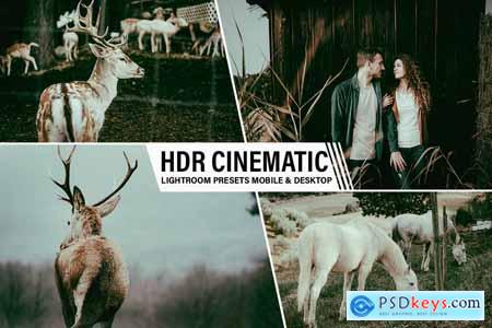 HDR Cinematic Lightroom Preset Mobile And Desktop