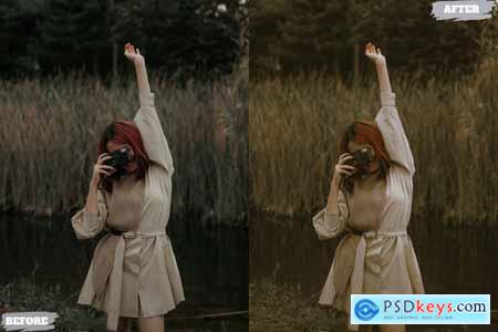 Vintage Film Lightroom Presets Dekstop and Mobile