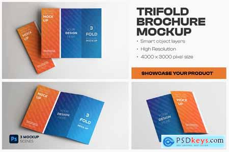 Trifold Brochure Mockup