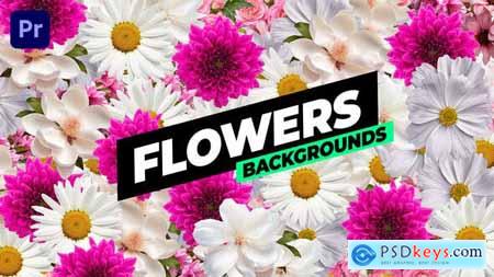 Flowers Backgrounds 53769761