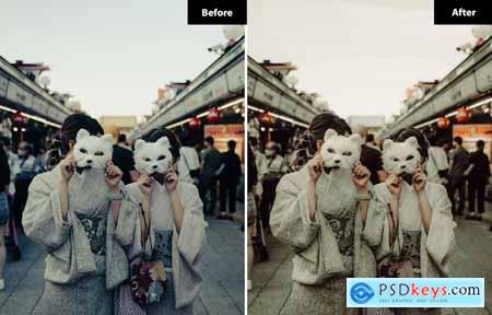 6 Efface Presets Darki Lightroom Presets