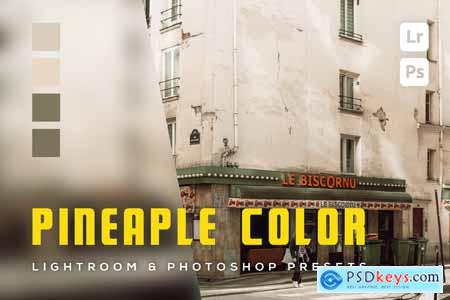 6 Pineaple color Lightroom and Photoshop