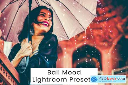 Bali Mood Lightroom Presets