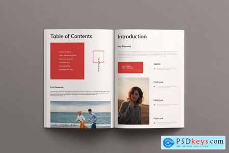 Business Plan Brochure Template