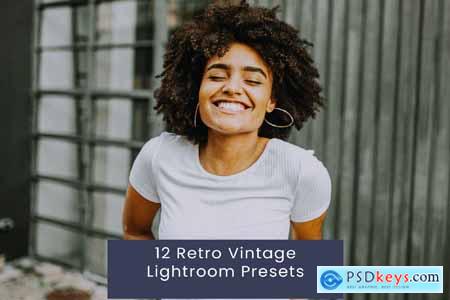 12 Retro Vintage Lightroom Presets