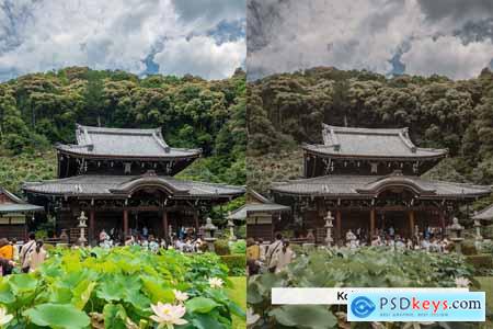 20 Uji Lightroom Presets and LUTs