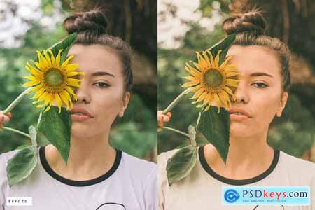 12 Flash Film Lightroom Presets