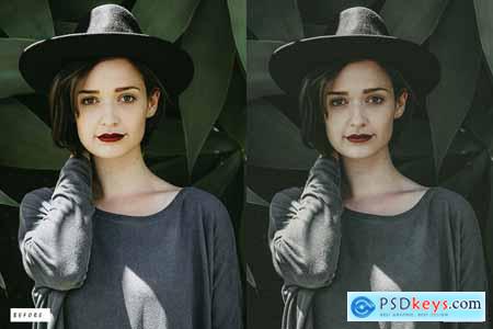 12 Flash Film Lightroom Presets