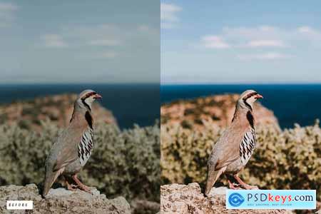 12 Outdoor Natural Lightroom Presets