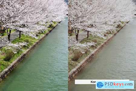 20 Uji Lightroom Presets and LUTs