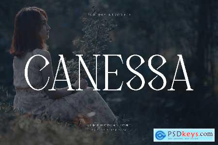 Canessa - Serif Modern Font