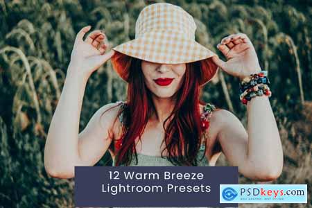 12 Warm Breeze Lightroom Presets