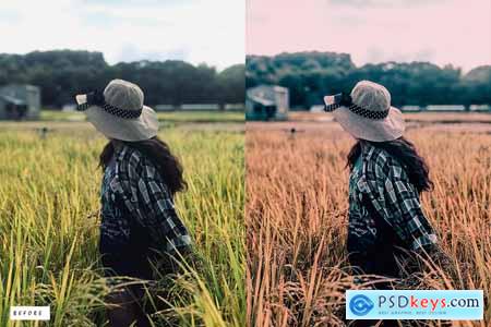 12 Warm Breeze Lightroom Presets