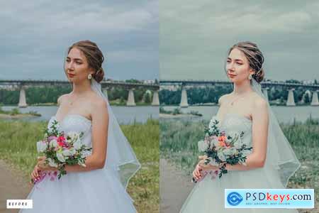 12 Vision Cinematic Lightroom Presets