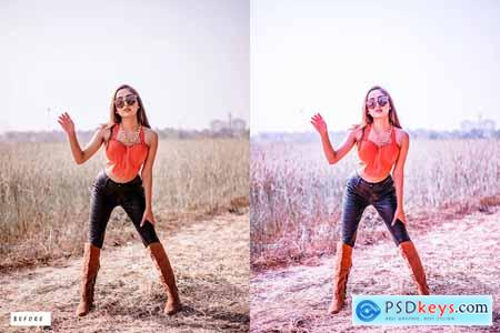 12 Color Blost Lightroom Presets