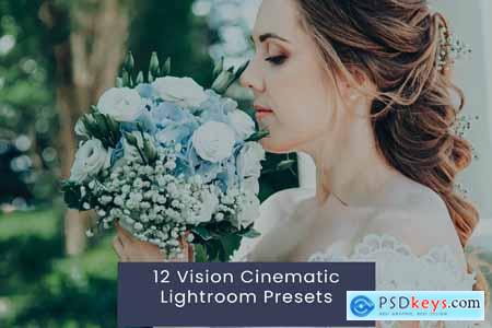 12 Vision Cinematic Lightroom Presets