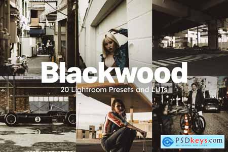 20 Blackwood Lightroom Presets and LUTs