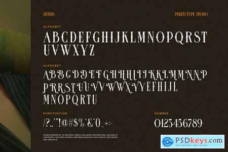 Detris Tattoo Serif Font