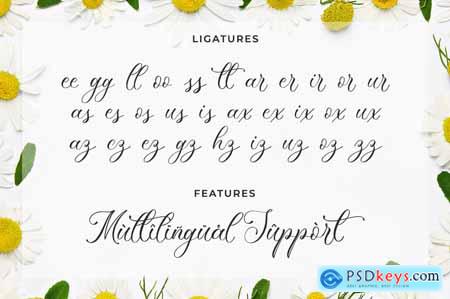 Devalani - Wedding Font