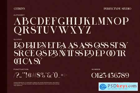 Cetrinn Elegant Ligature Serif Font