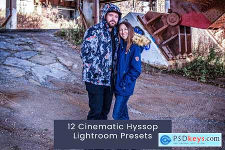 12 Cinematic Hyssop Lightroom Presets