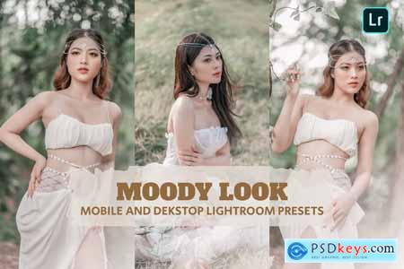 Moody Look Lightroom Presets Dekstop and Mobile