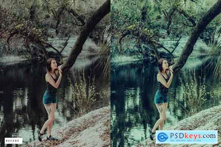 12 Cinematic Hyssop Lightroom Presets