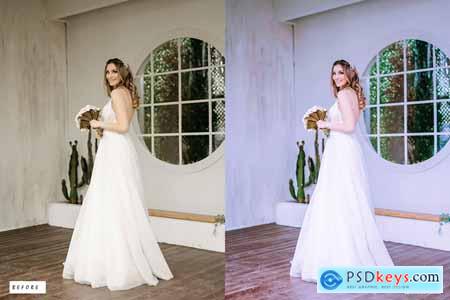 12 Wedding Luxe Lightroom Presets