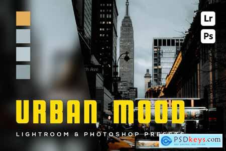 6 Urban Mood Lightroom and Photoshop Presets