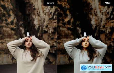 6 Golden Look Lightroom and Photoshop Presets