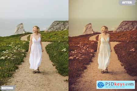 Classic Film Lightroom Presets Dekstop and Mobile