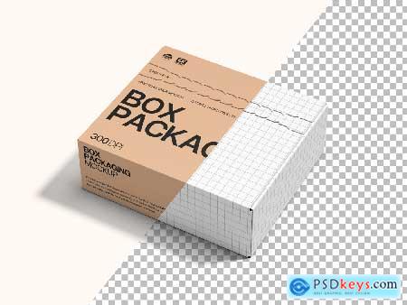 Box Mockup