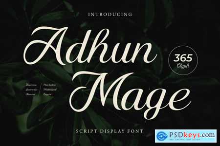 Adhun Mage - Script Font