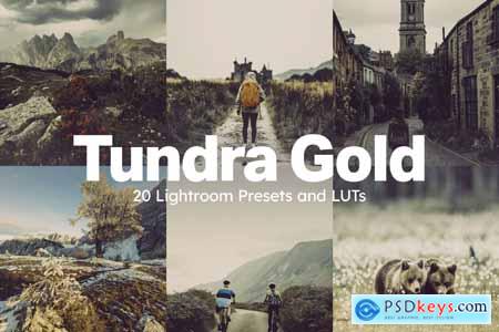 20 Tundra Gold Lightroom Presets and LUTs