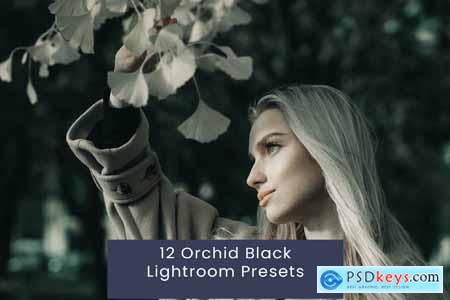 12 Orchid Black Lightroom Presets