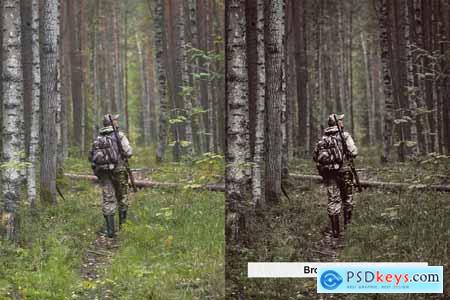 20 Cinematic Greens Lightroom Presets and LUTs