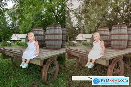 20 Homestead Lightroom Presets and LUTs